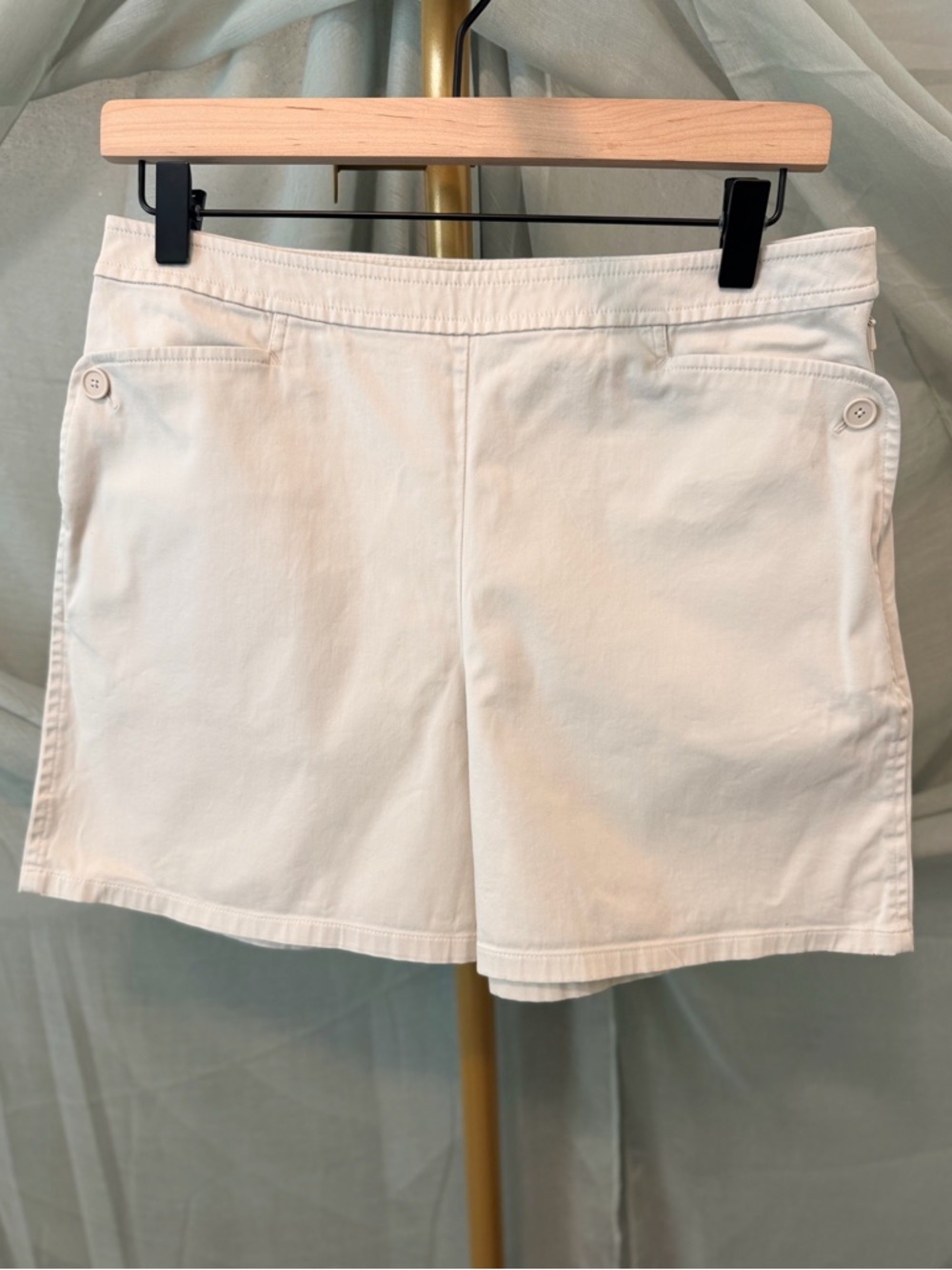 Ann Taylor Tan Women's Shorts